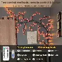 71ogHsQIjYL._AC_SL1500_.webp