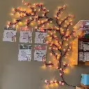 71gpGMZo2PL._AC_SL1500_.webp