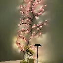 51-Eq9ZdiCL._AC_.webp