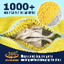 81pERdE-xKL._AC_SL1500_.webp