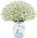 81jV3rWsRIL._AC_SL1500_.webp
